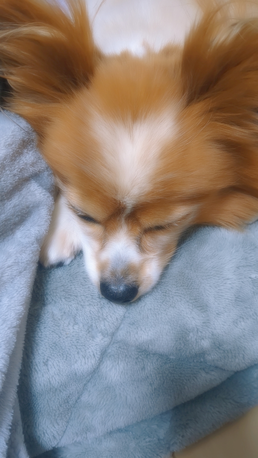 お疲れ様です✨