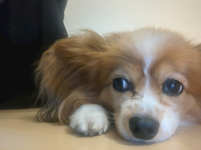 お疲れ様です！