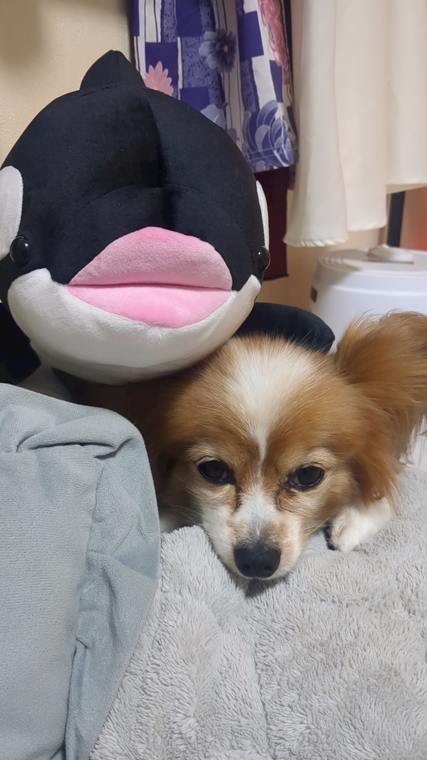 お疲れ様です✨