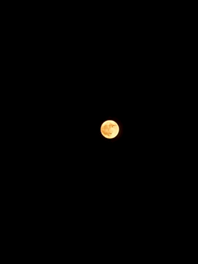 🌜🌝🌛