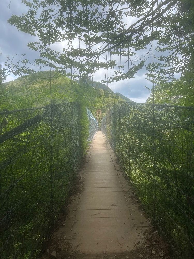🎐☀️