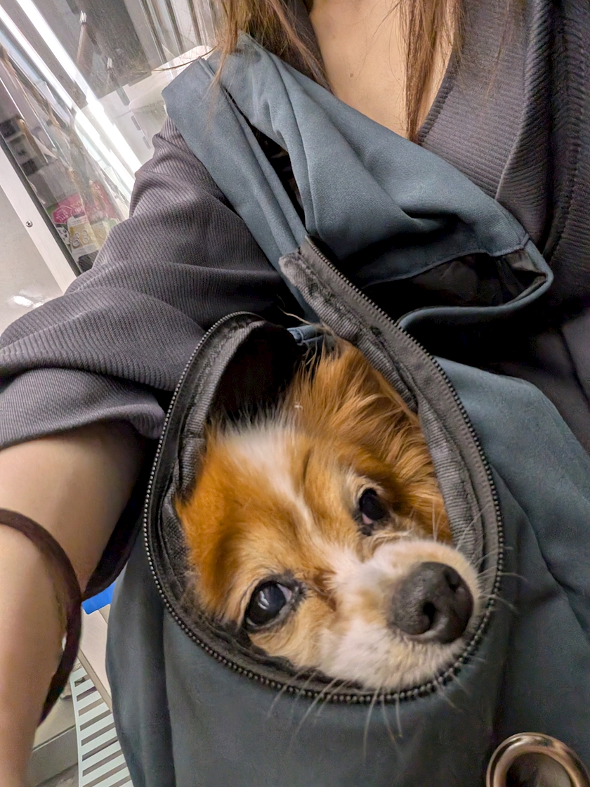 お疲れ様です！