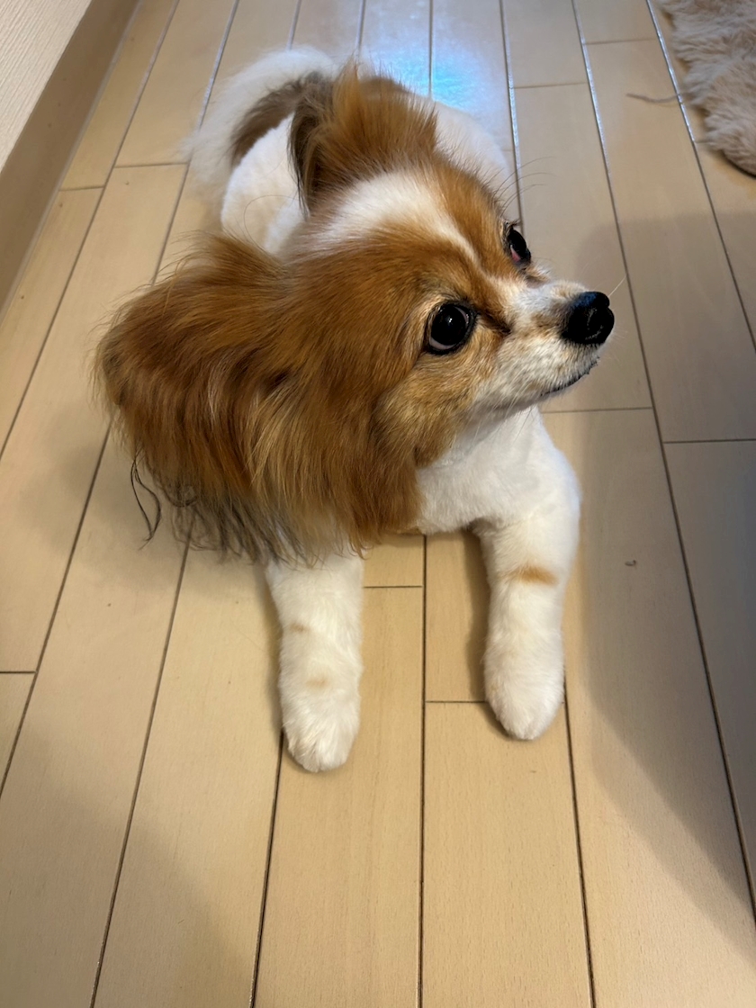 お疲れ様です✨