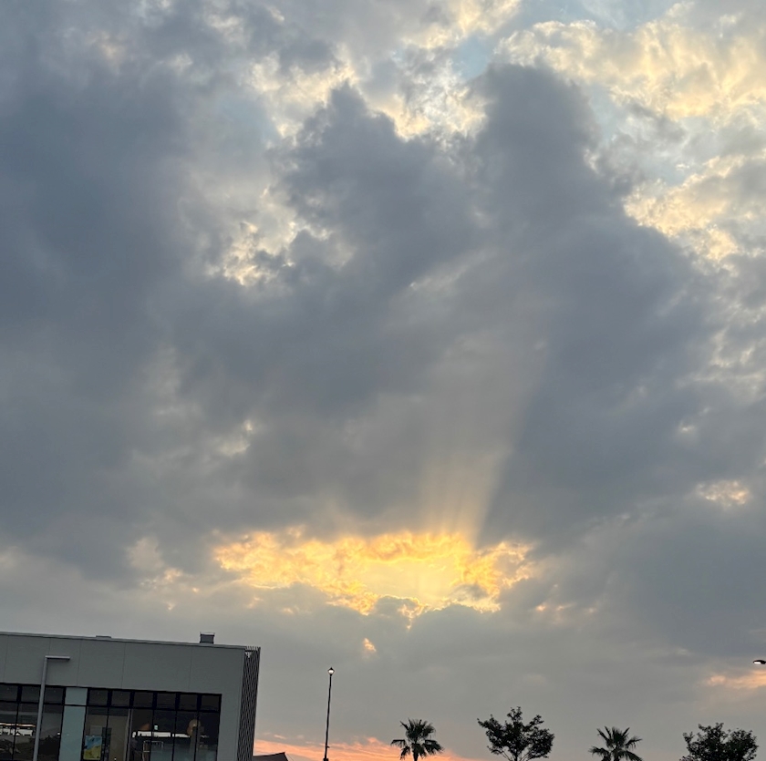 ☀️🌙* :ﾟ