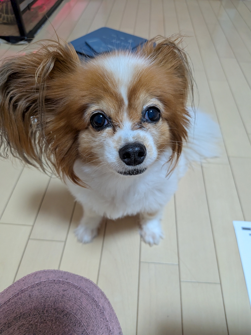 お疲れ様です✨