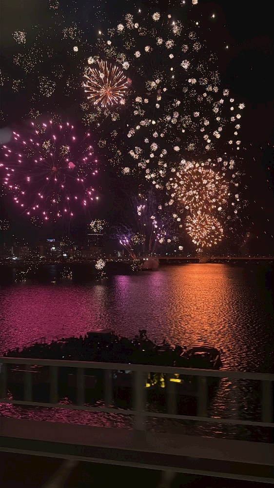 🎇✨